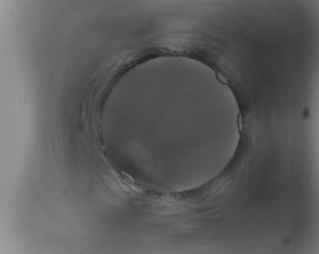 X0000111161009200907211222