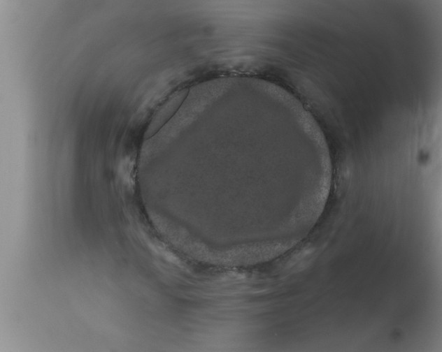 X0000111161010200907211222