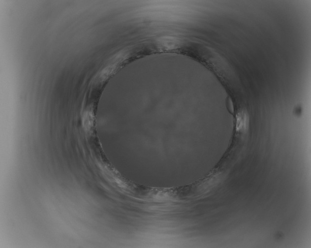 X0000111161011200907211222