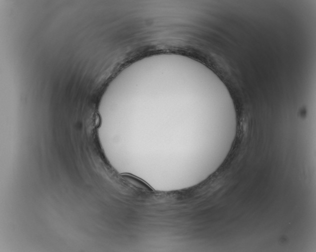 X0000111161012200907211222