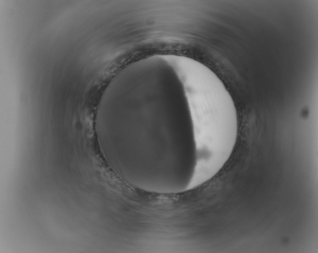 X0000111161013200907211222