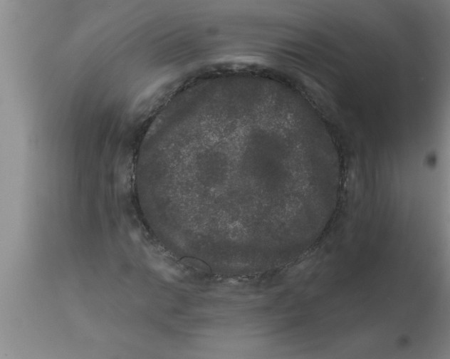 X0000111161014200907211222