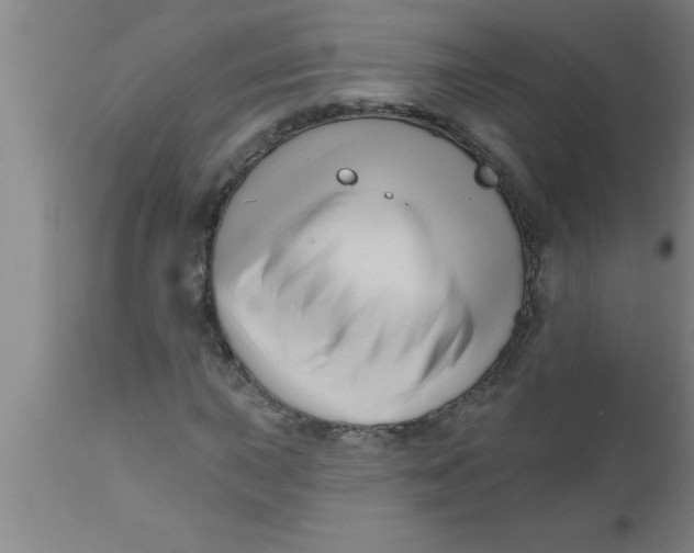 X0000111161015200907211222