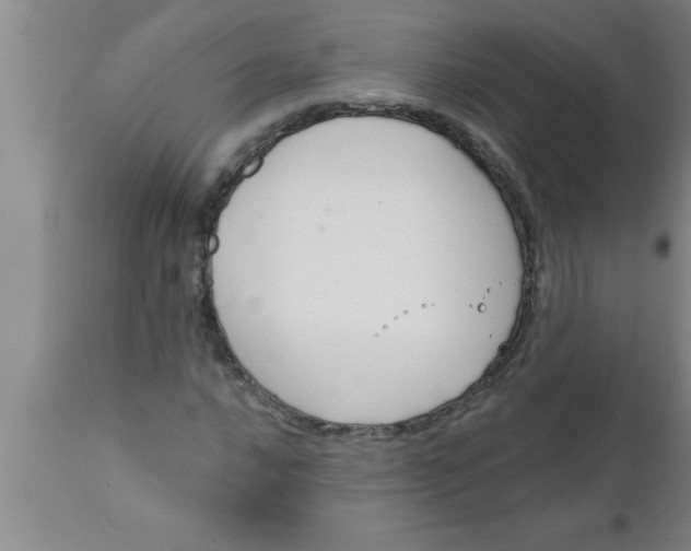 X0000111161016200907211222