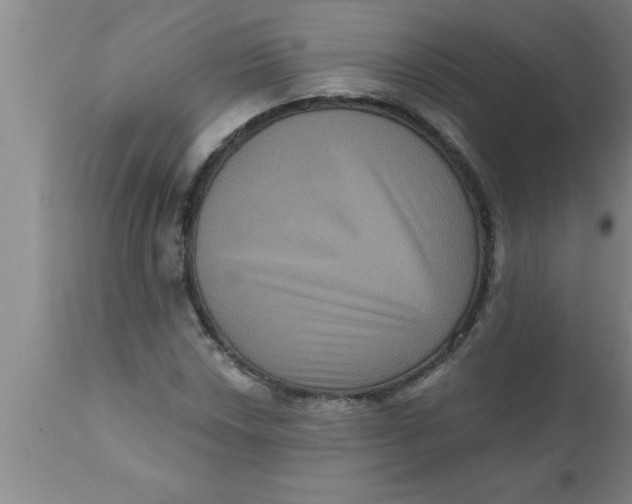 X0000111161018200907211222