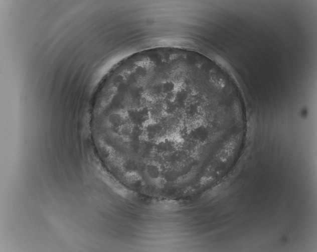 X0000111161019200907211222