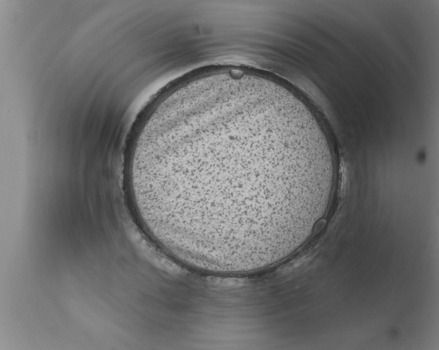 X0000111161020200907211222