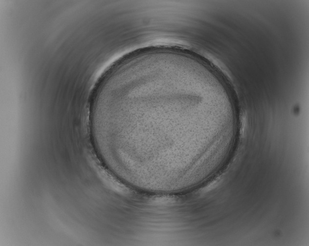 X0000111161021200907211222