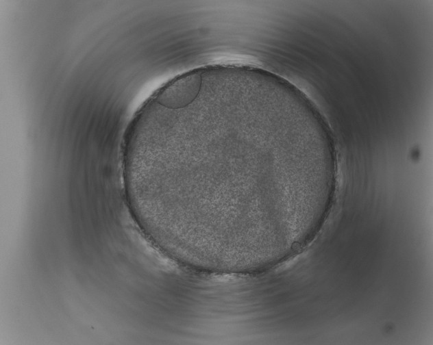 X0000111161022200907211222