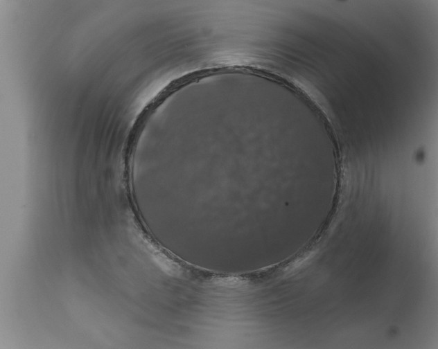 X0000111161023200907211222