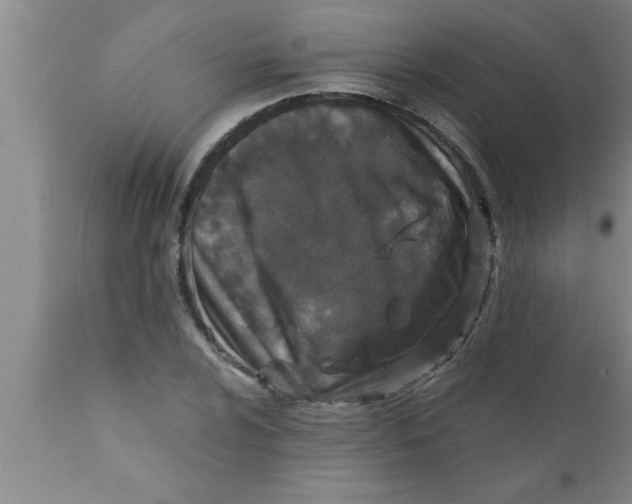 X0000111161024200907211222