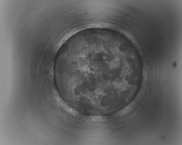 X0000111161025200907211222