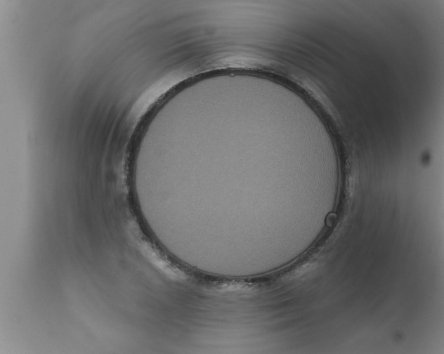 X0000111161026200907211222