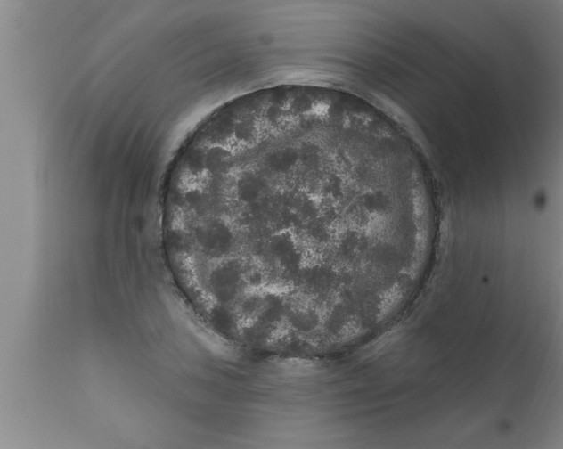 X0000111161027200907211222