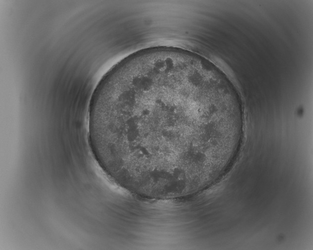 X0000111161028200907211222