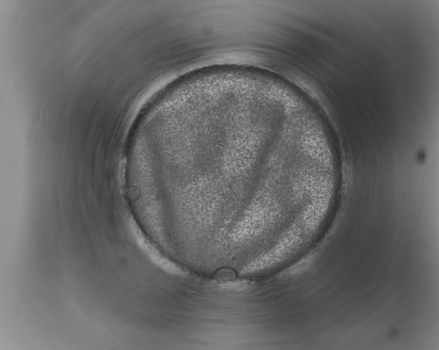 X0000111161029200907211222