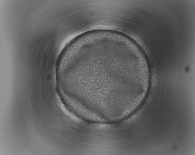 X0000111161030200907211222