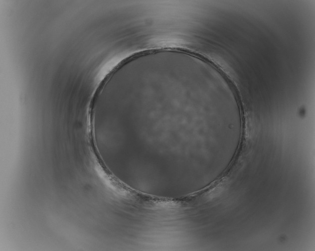 X0000111161031200907211222