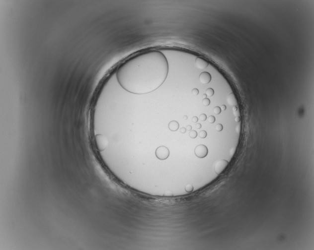 X0000111161032200907211222