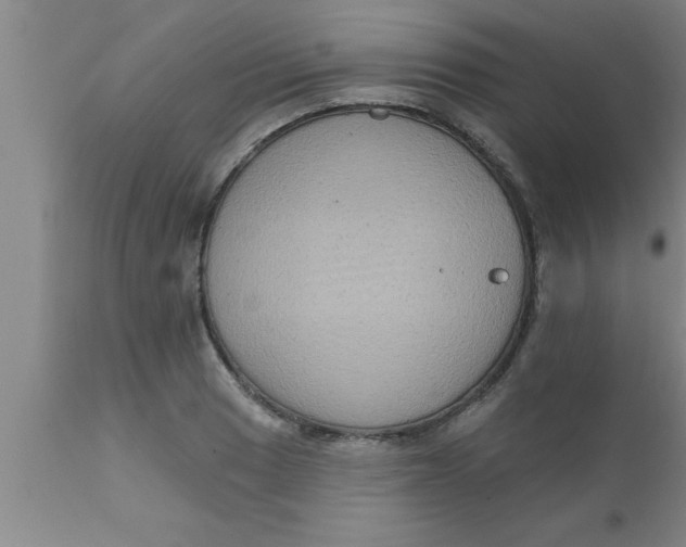 X0000111161033200907211222