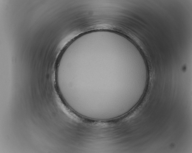 X0000111161034200907211222