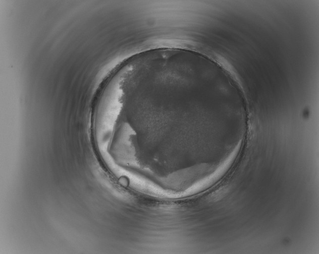 X0000111161035200907211222