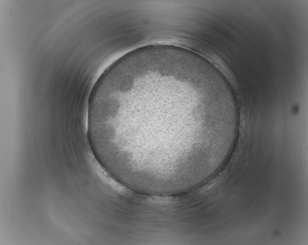 X0000111161036200907211222