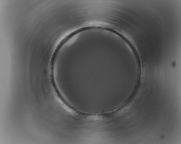 X0000111161037200907211222