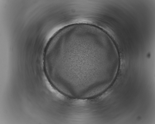 X0000111161038200907211222