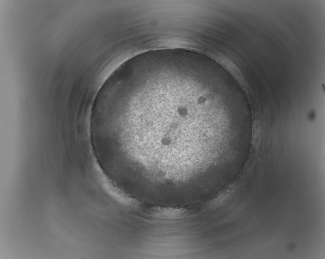 X0000111161039200907211222