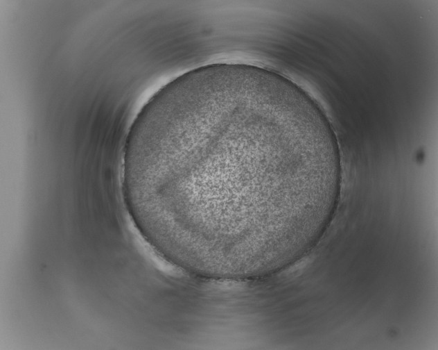 X0000111161040200907211222