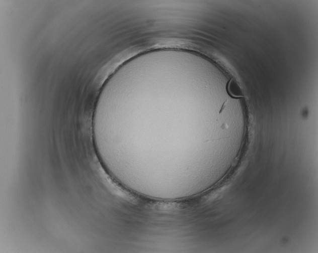 X0000111161041200907211222