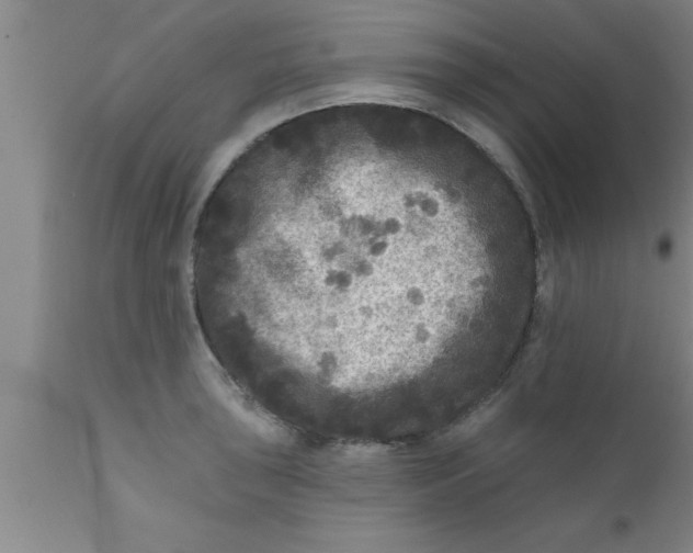 X0000111161043200907211222