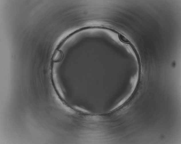 X0000111161045200907211222