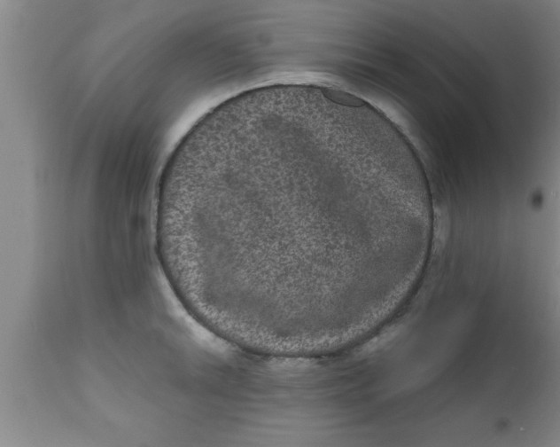 X0000111161046200907211222