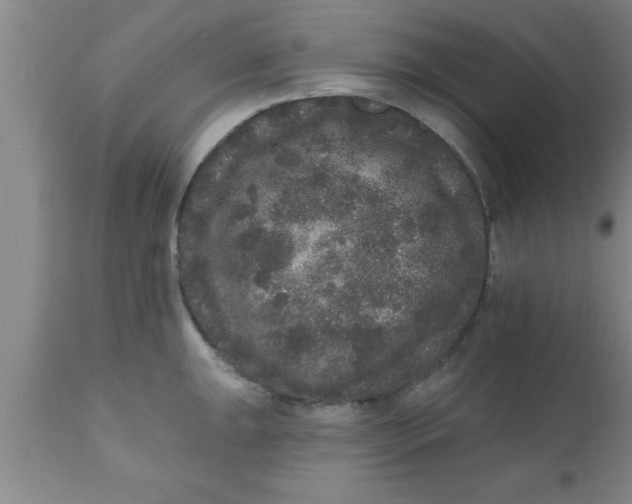 X0000111161047200907211222