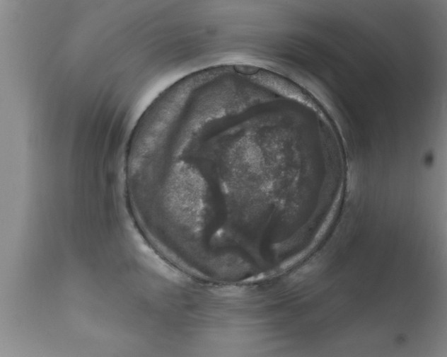 X0000111161048200907211222