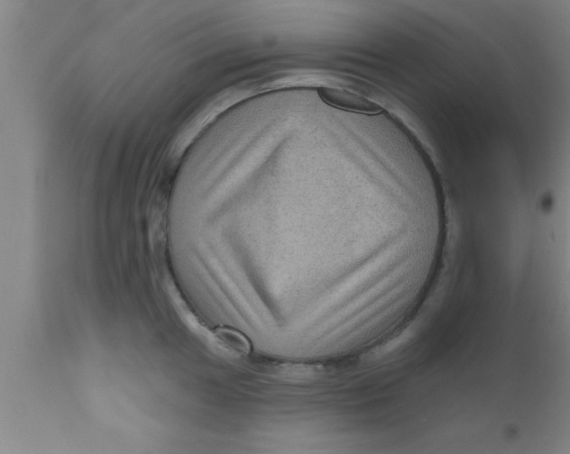 X0000111161049200907211222