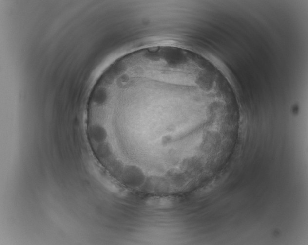 X0000111161051200907211222