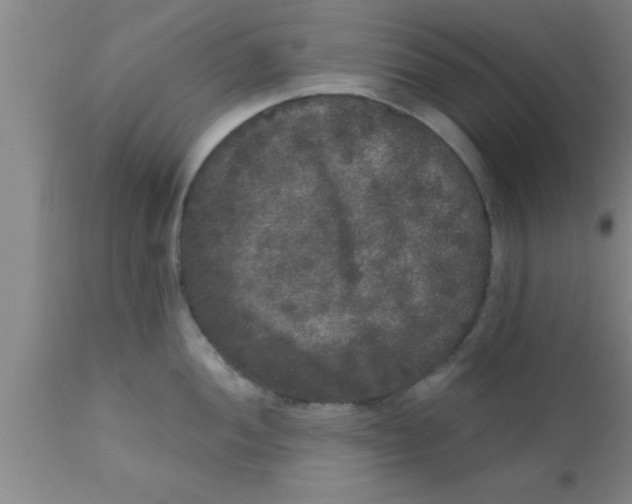 X0000111161052200907211222