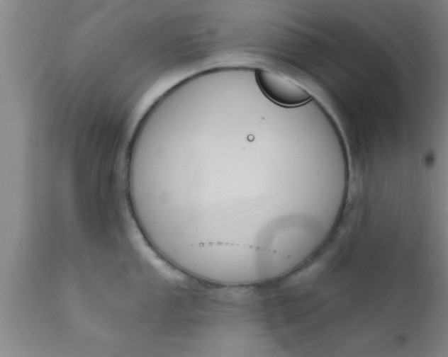 X0000111161053200907211222