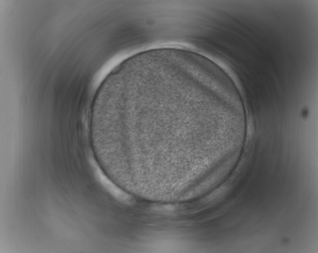 X0000111161054200907211222