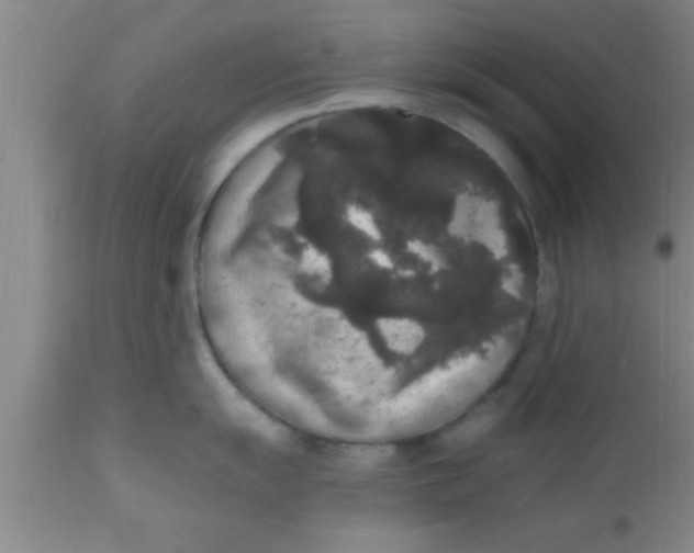 X0000111161055200907211222