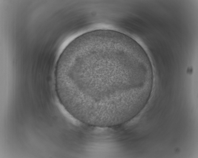 X0000111161056200907211222