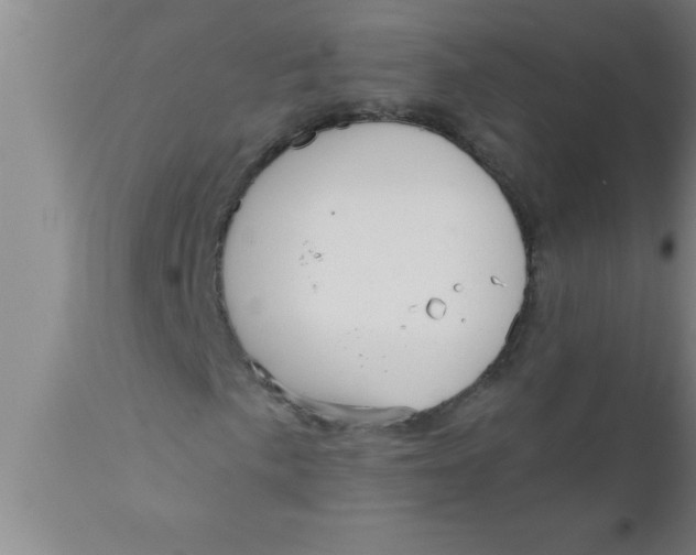 X0000111161057200907211222