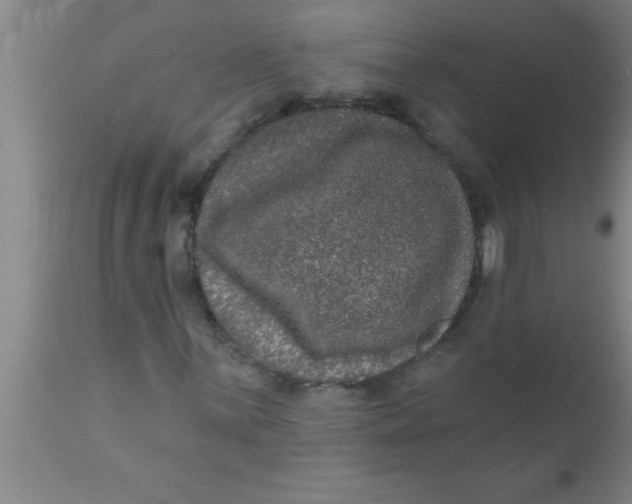 X0000111161059200907211222