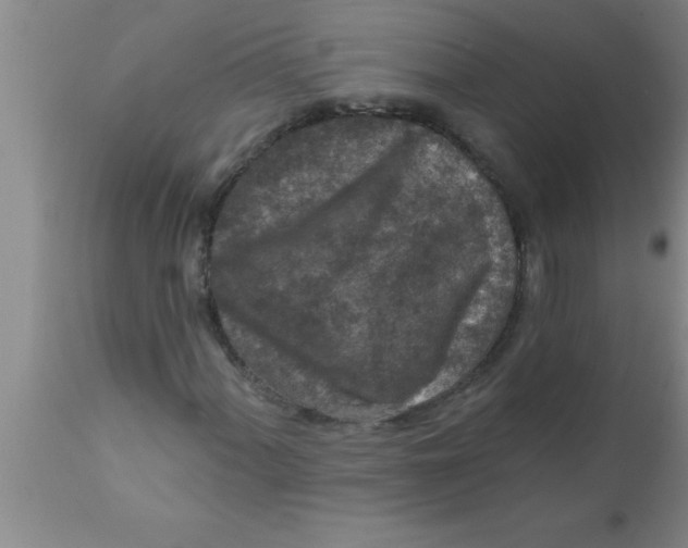 X0000111161060200907211222