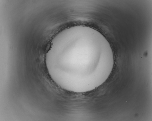 X0000111161061200907211222