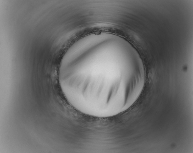 X0000111161062200907211222