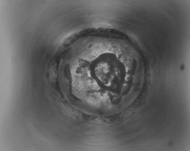 X0000111161063200907211221